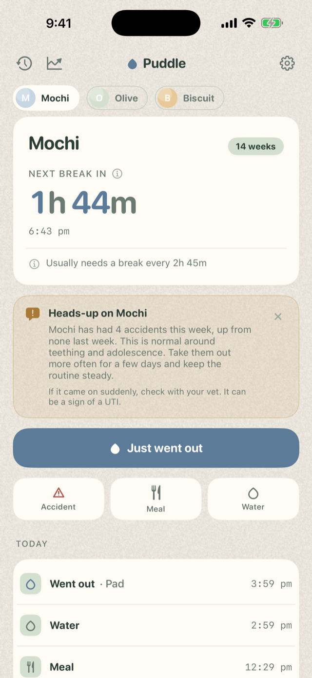 Today screen with a 'Heads-up on Mochi' regression banner flagging four accidents this week, up from none last week